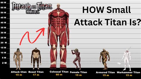 Aot wall height