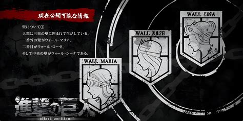 Aot wall size
