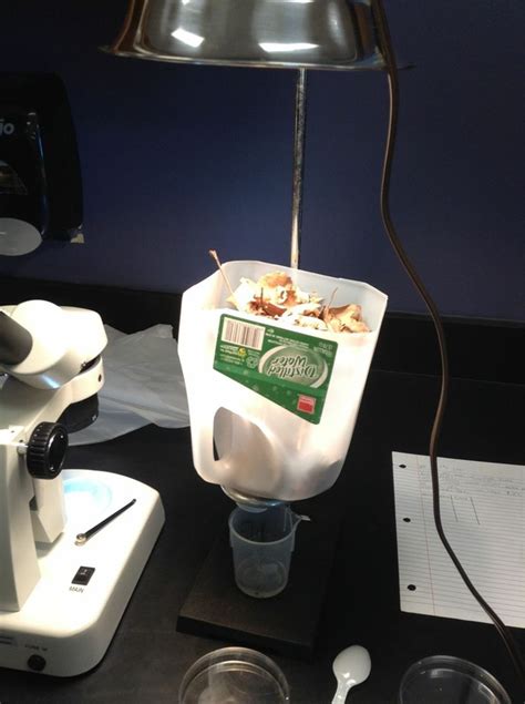 Ap Environmental Labs