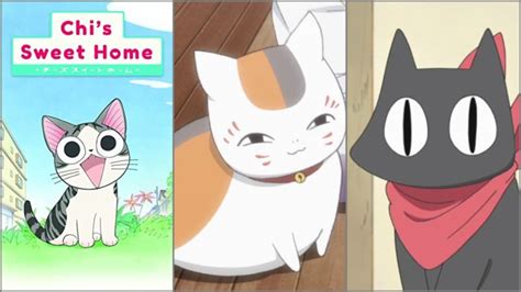 7 website kucing peduli anime Karakter kucing dalam anime