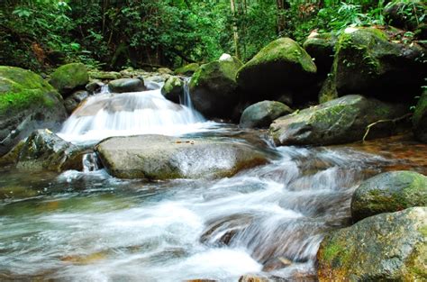 7 Manfaat Air Sungai yang Jarang Diketahui