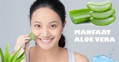 Temukan 10 Manfaat Aloe Vera untuk Wajah yang Jarang Diketahui