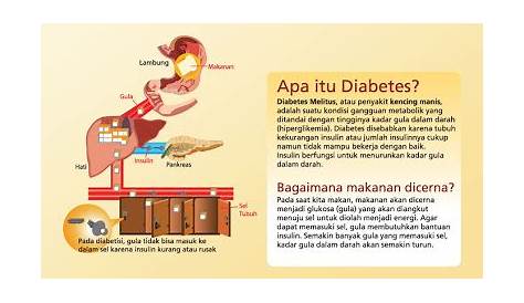 Inilah penyebab diabetes melitus yang harus dihindari - KESEHATAN