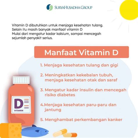 apa fungsi vitamin d