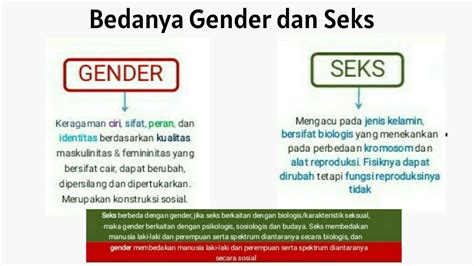 apa itu identitas gender