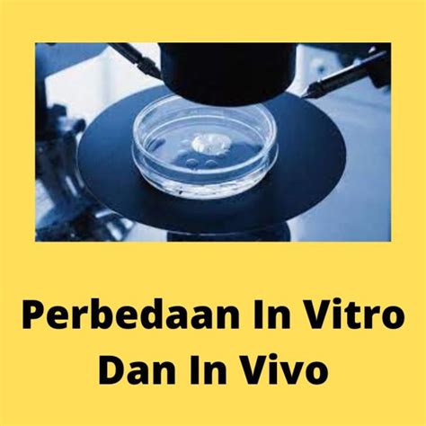 apa itu secara in vitro