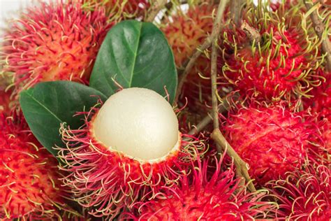 Temukan 7 Manfaat Buah Rambutan yang Jarang Diketahui!