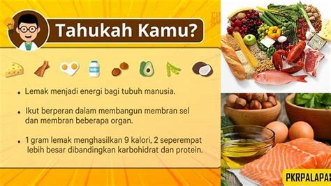 Temukan Manfaat Lemak yang Jarang Diketahui