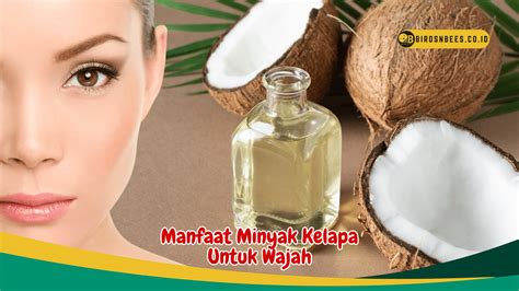 Temukan 7 Manfaat Minyak Kelapa untuk Wajah yang Jarang Diketahui