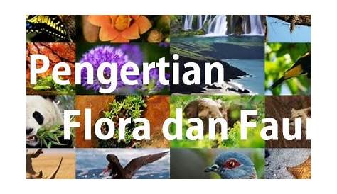 FLORA DAN FAUNA DI MALAYSIA: apakah maksud flora dan fauna? ini dia >
