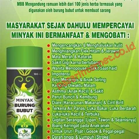 Apakah Minyak Herbal Sinergi Bisa Untuk Ambeien?