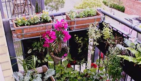 12 Beautiful Small Balcony Garden Ideas In Apartments For