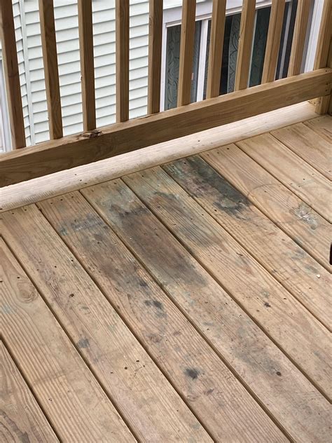 Apartment Balcony Mold