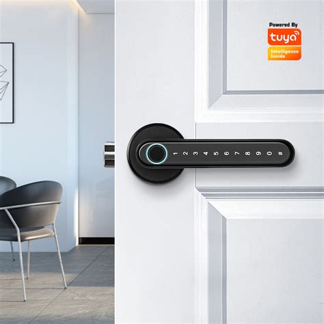 Apartment Inside Lock