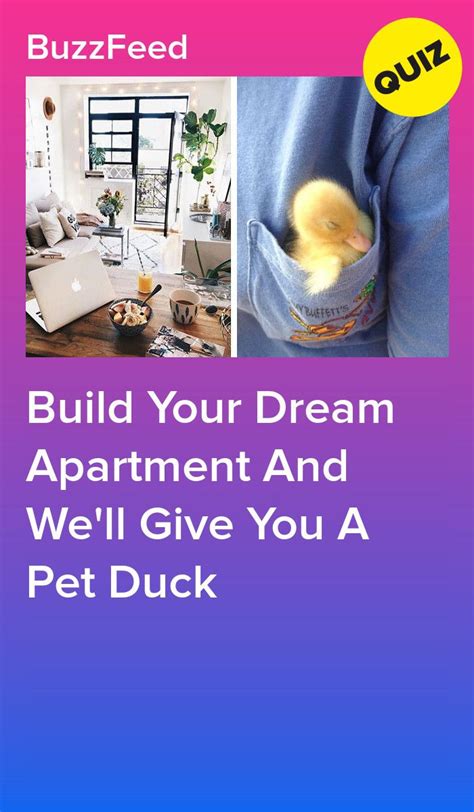 Apartment Pet Duck