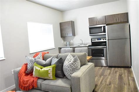 Apartments Without Roaches