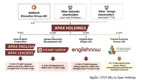 apax holdings joint stock company