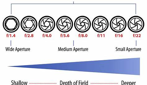Understanding Aperture All The Ways It Changes Your Photos