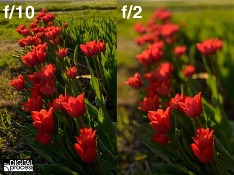 Aperture Photography Examples In 2023