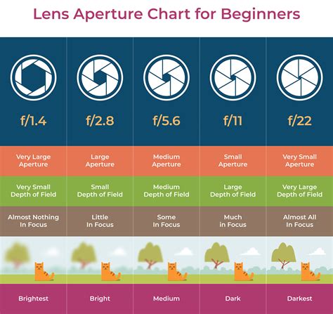 Aperture Photography Explained: A Comprehensive Guide For Beginners