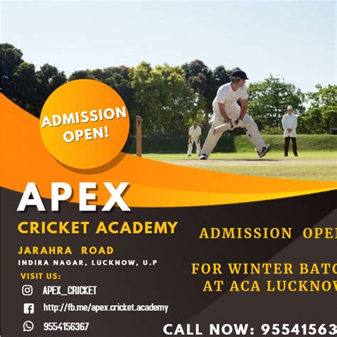 apex cricket academy new delhi delhi