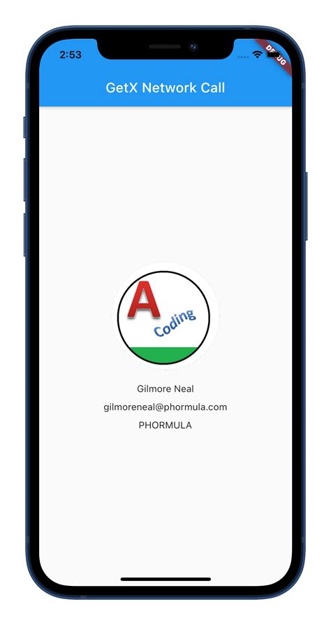 Api Calling Using Getx In Flutter