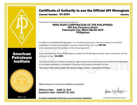 api certification full form