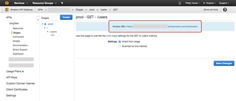 api gateway custom domain name missing authentication token