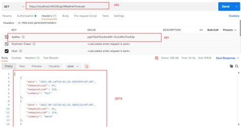 api key authorization c#