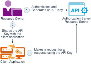 api key based authentication in oic