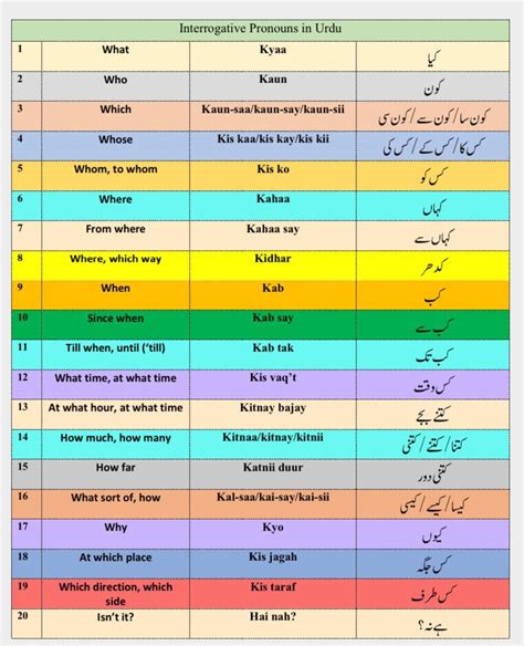 api meaning in urdu language