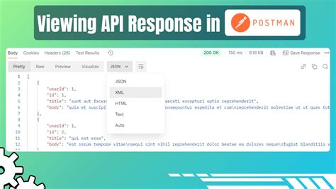 Api Response Metadata