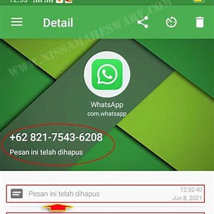 Aplikasi Pembuka Pesan WA yang Dihapus