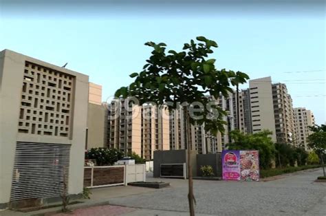 apollo db city nipania indore pin code