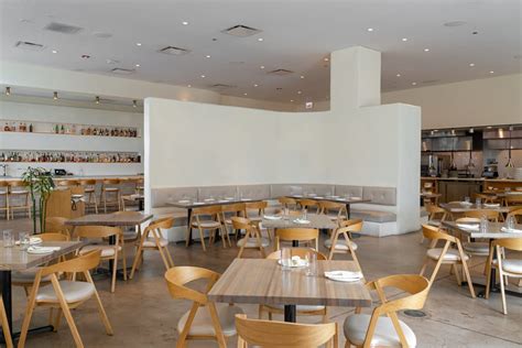 Discover Apolonia's Enchanting Chicago Story: A Hidden Gem Awaits