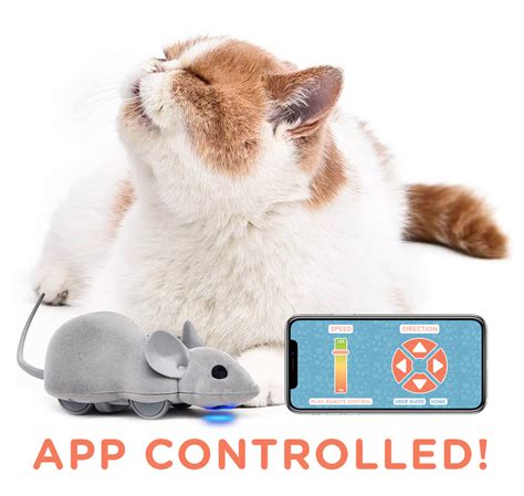 App Controlled Mouse Cat Toy