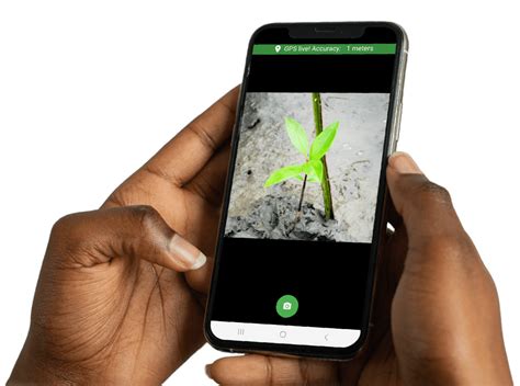 App To See How Tall A Tree Is