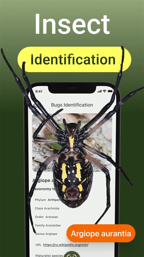 【iOS APP】Insect Identification 昆蟲識別軟體 Dr.愛瘋 APP Navi