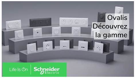 Appareillage Schneider Ovalis Des Interrupteurs Et Des Prises Design Abordables