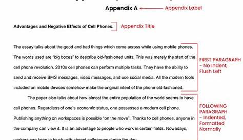 Appendix Example Mla Hendra Personal Project 810