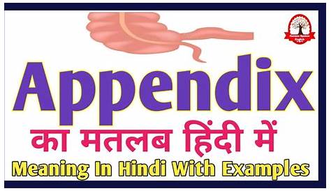 Appendix Meaning In Hindi Medical Of Fitriblog1