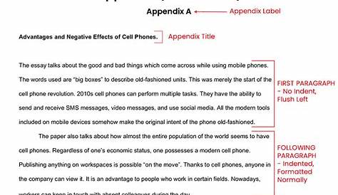 Appendix Mla Format Example 021 Research Paper Appendices In Best Of Stylemat