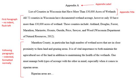 appendix reference example