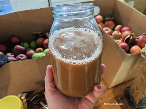 Apple Pulp For Cider Making: Turning Waste Into Deliciousness