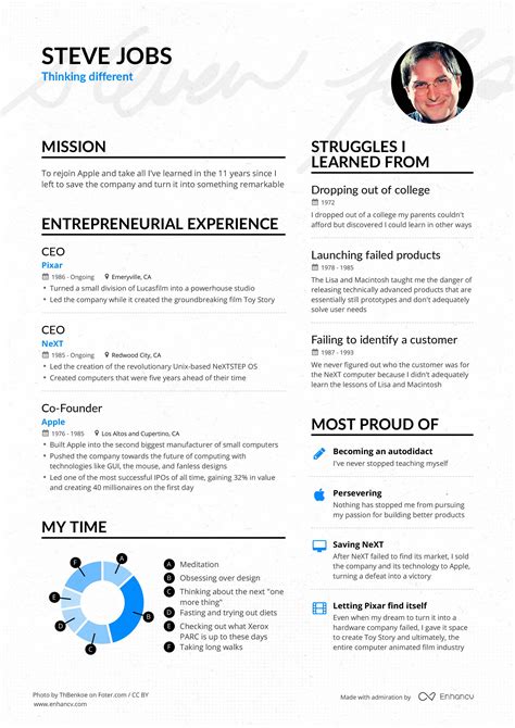 For Mac Pages Professional Resume Template / CV Template