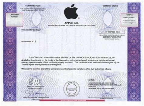 Apple Stock Certificate / Free 6 Sample Stock Certificate Templates In