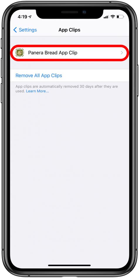 Apple App Clips Settings