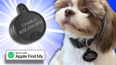 Apple Dog Finder