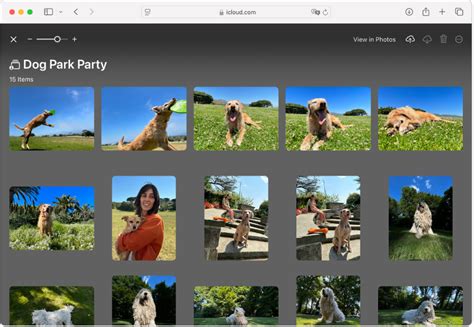 Apple Dogs Website