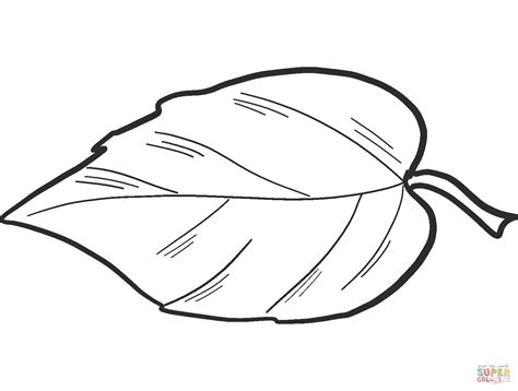 Apple Leaf Coloring Page